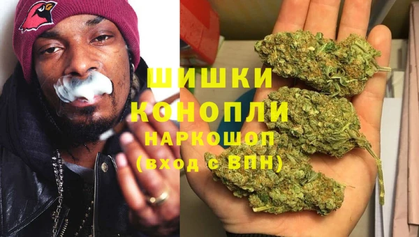 индика Орехово-Зуево