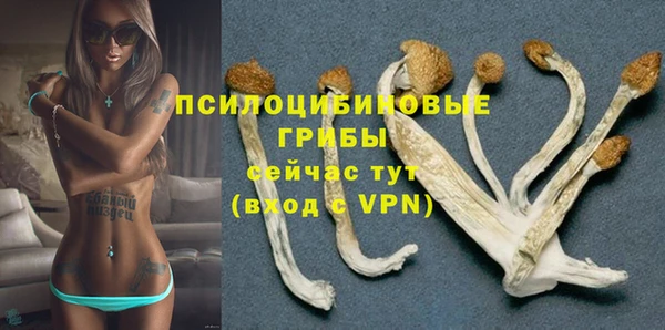 хмурый Ладушкин
