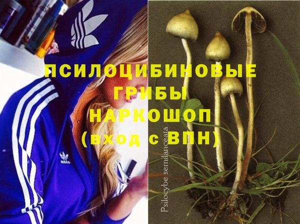 apvp Кулебаки