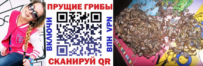 Галлюциногенные грибы MAGIC MUSHROOMS  продажа наркотиков  Обоянь 